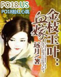 金枝玉叶可以水培吗